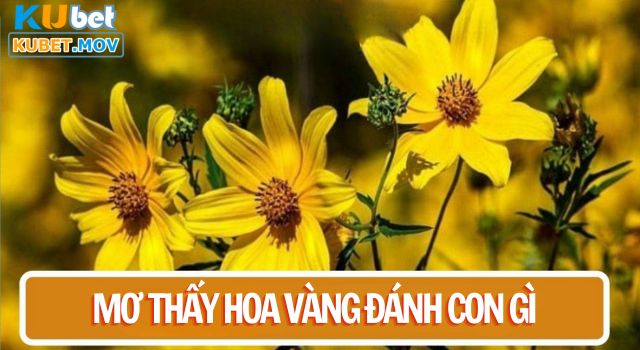 Đánh đề con gì khi mơ thấy hoa màu vàng