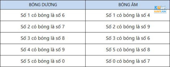 Quy ước của các chuyên gia